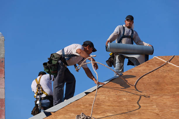 Residential Roof Replacement in Chesaning, MI