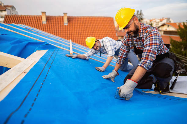 Gutter Installation and Roofing in Chesaning, MI