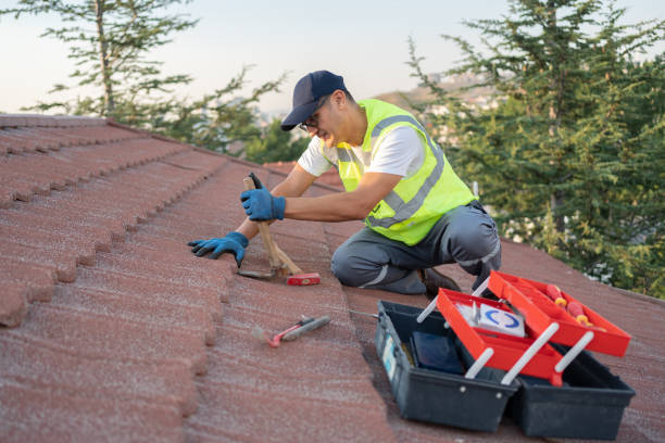 Best Residential Roofing Contractor  in Chesaning, MI
