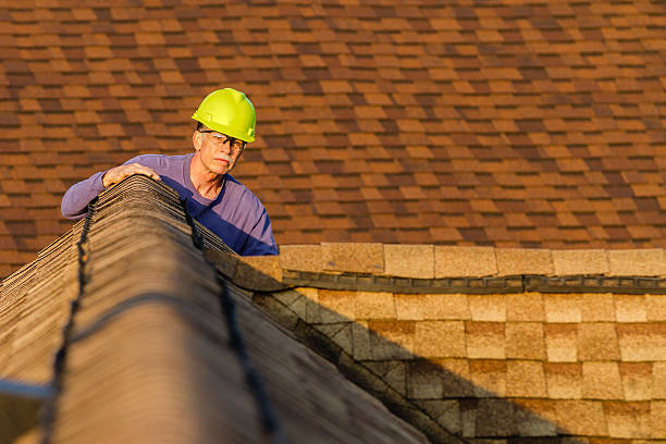 Best Roof Leak Repair  in Chesaning, MI