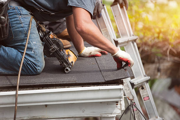 Best Residential Roof Replacement  in Chesaning, MI