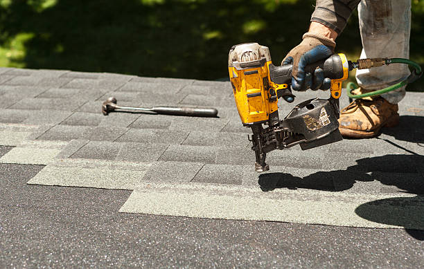 Best Roof Repair Specialists  in Chesaning, MI